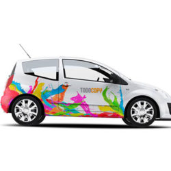 coche coche